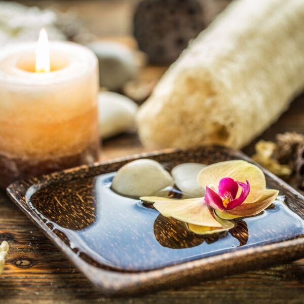 Luxury Cottages For Rent In Cornwall Broomhill Manor Guest Facilities