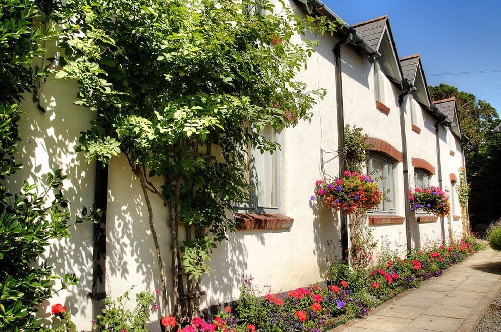 Luxury Holiday Cottage For Rent Bude Cornwall Grebe Cottage