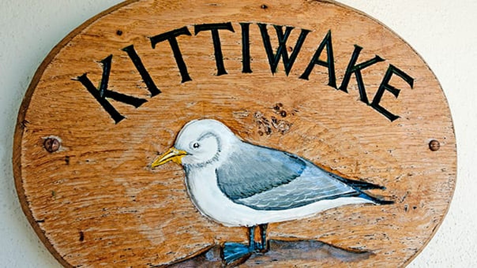 Luxury Holiday Cottage For Rent Bude Cornwall Kittiwake Cottage