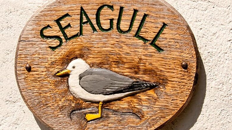 Luxury Holiday Cottage For Rent Bude Cornwall Seagull Cottage