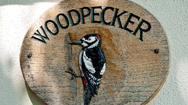 Luxury Holiday Cottage For Rent Bude Cornwall Woodpecker Cottage