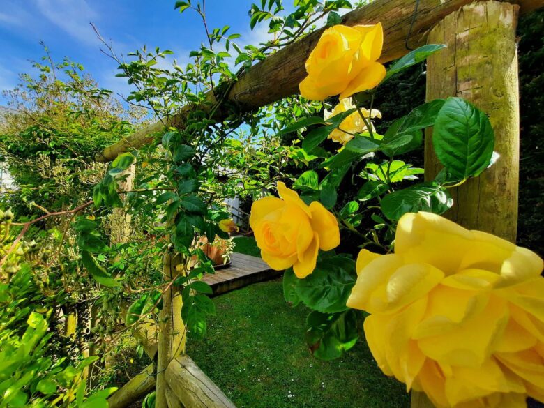 Luxury Holiday Cottage For Rent Cornwall Nightingale Cottage