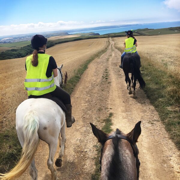 Broomhill Manor Holiday Cottages Bude Cornwall Horse Riding