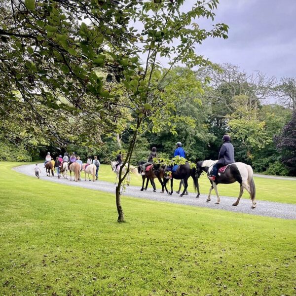 Broomhill Manor Holiday Cottages Bude Cornwall Horse Riding
