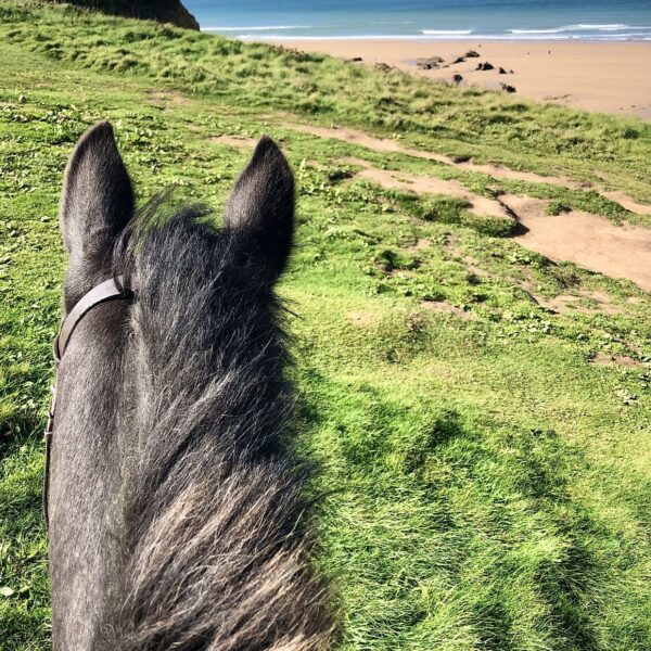 Broomhill Manor Holiday Cottages Bude Cornwall Horse Riding