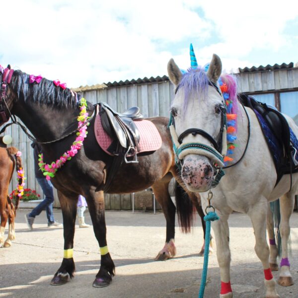 Broomhill Manor Holiday Cottages Bude Cornwall Horse Riding