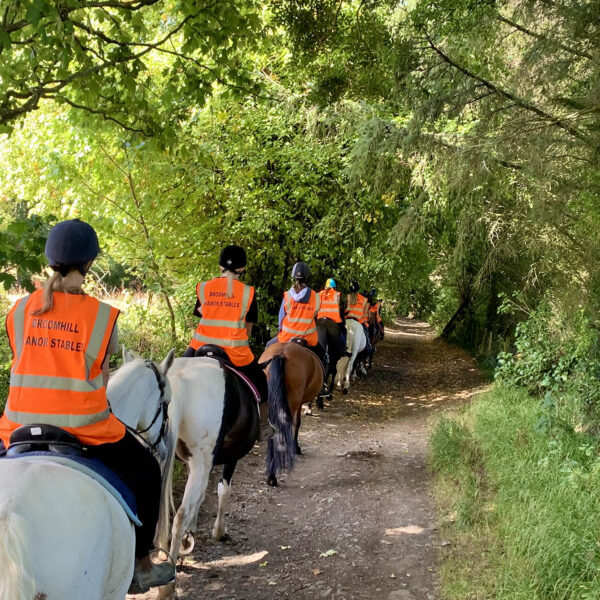 Broomhill Manor Holiday Cottages Bude Cornwall Horse Riding