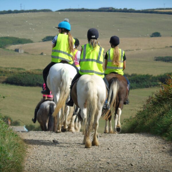 Broomhill Manor Holiday Cottages Bude Cornwall Horse Riding