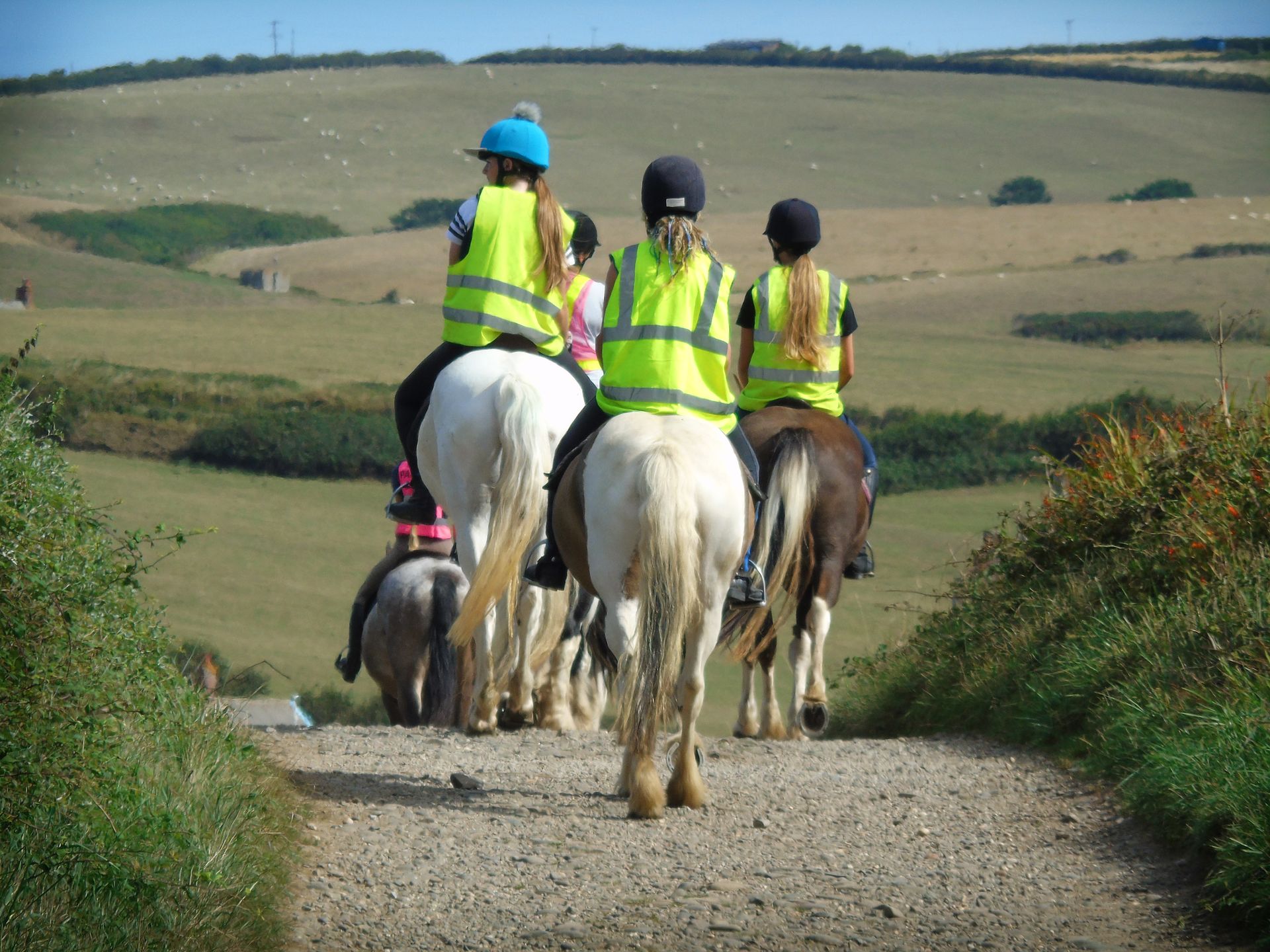 Broomhill Manor Holiday Cottages Bude Cornwall Horse Riding
