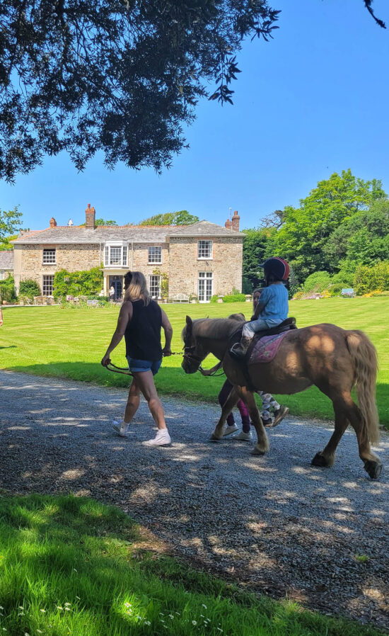 Broomhill Manor horse riding