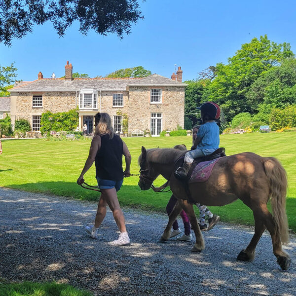 Broomhill Manor horse riding
