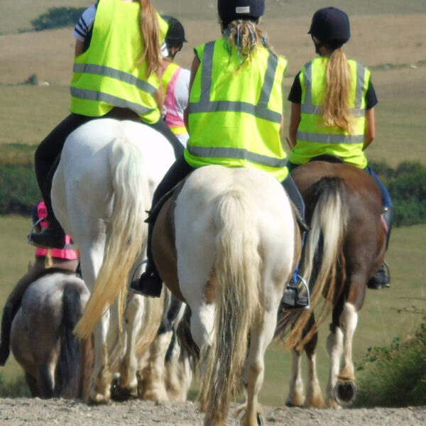 Broomhill Manor horse riding at the Stables