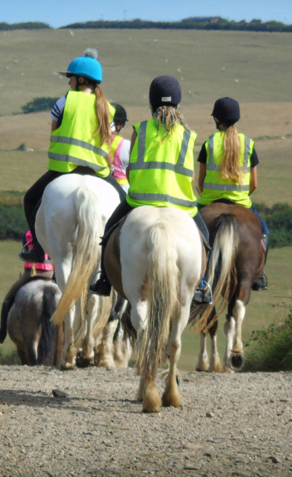 Broomhill Manor horse riding at the Stables