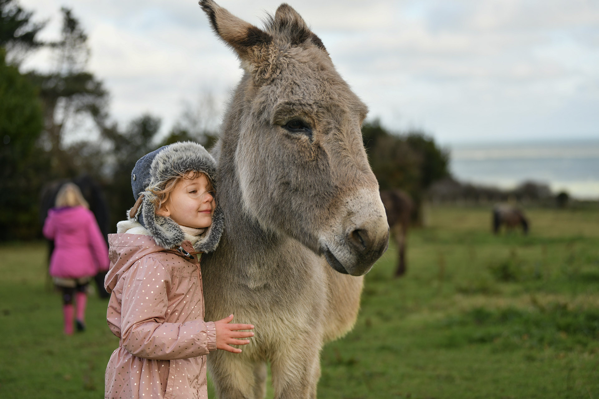 Family Days out in Cornwall Broomhill Manor Holiday Cottage rentals
