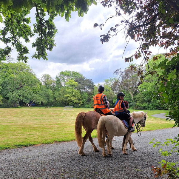 Horse Riding 3 at Broomhill Manor Holiday Cottages Bude Cornwall