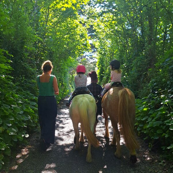 Horse riding At Broomhill Manor Holiday Cottages Bude Cornwall