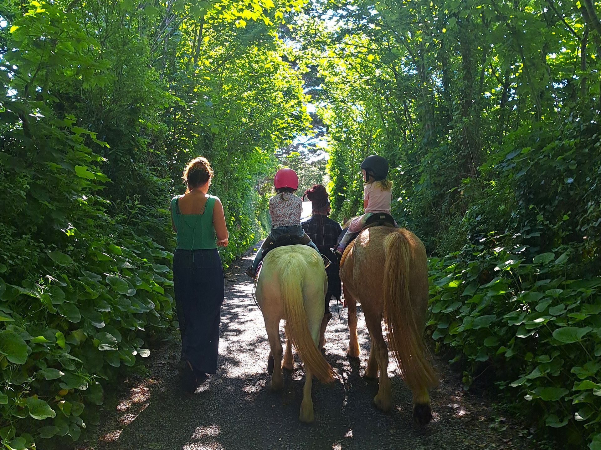 Horse riding At Broomhill Manor Holiday Cottages Bude Cornwall
