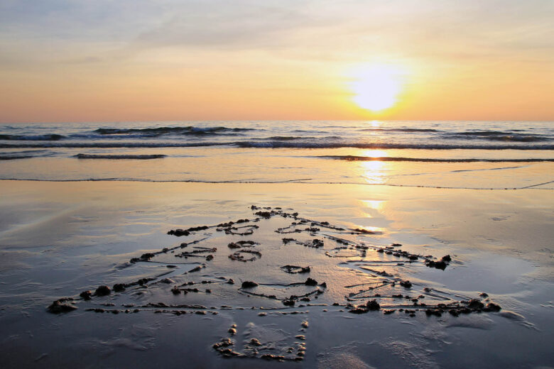 Christmas tree on the sand beach on sunset.jpg